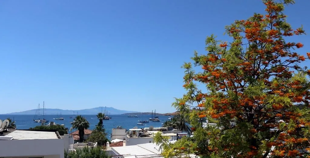 Agan Pension Bodrum 0*,