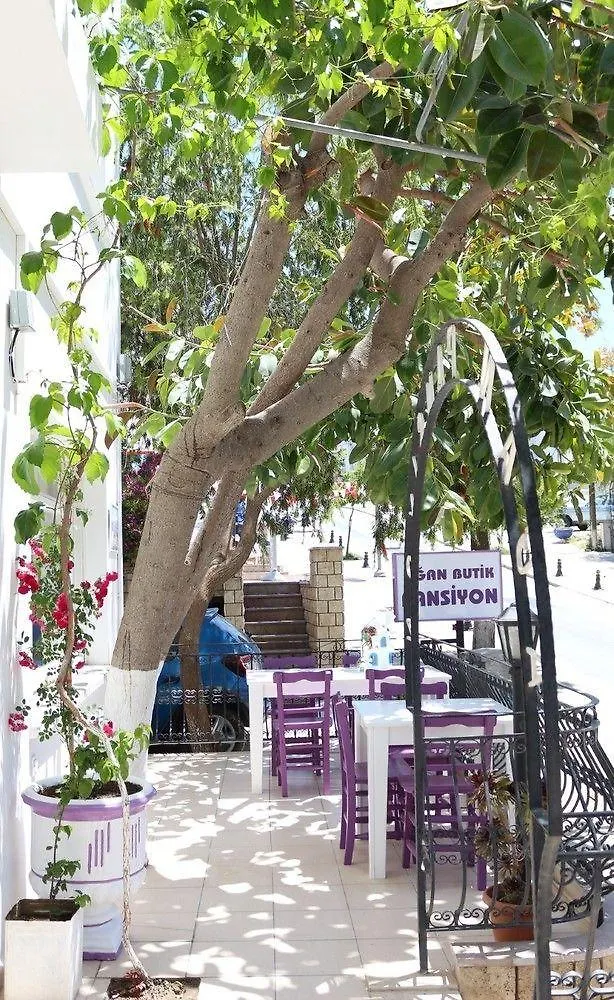 Agan Pension Bodrum 0*,